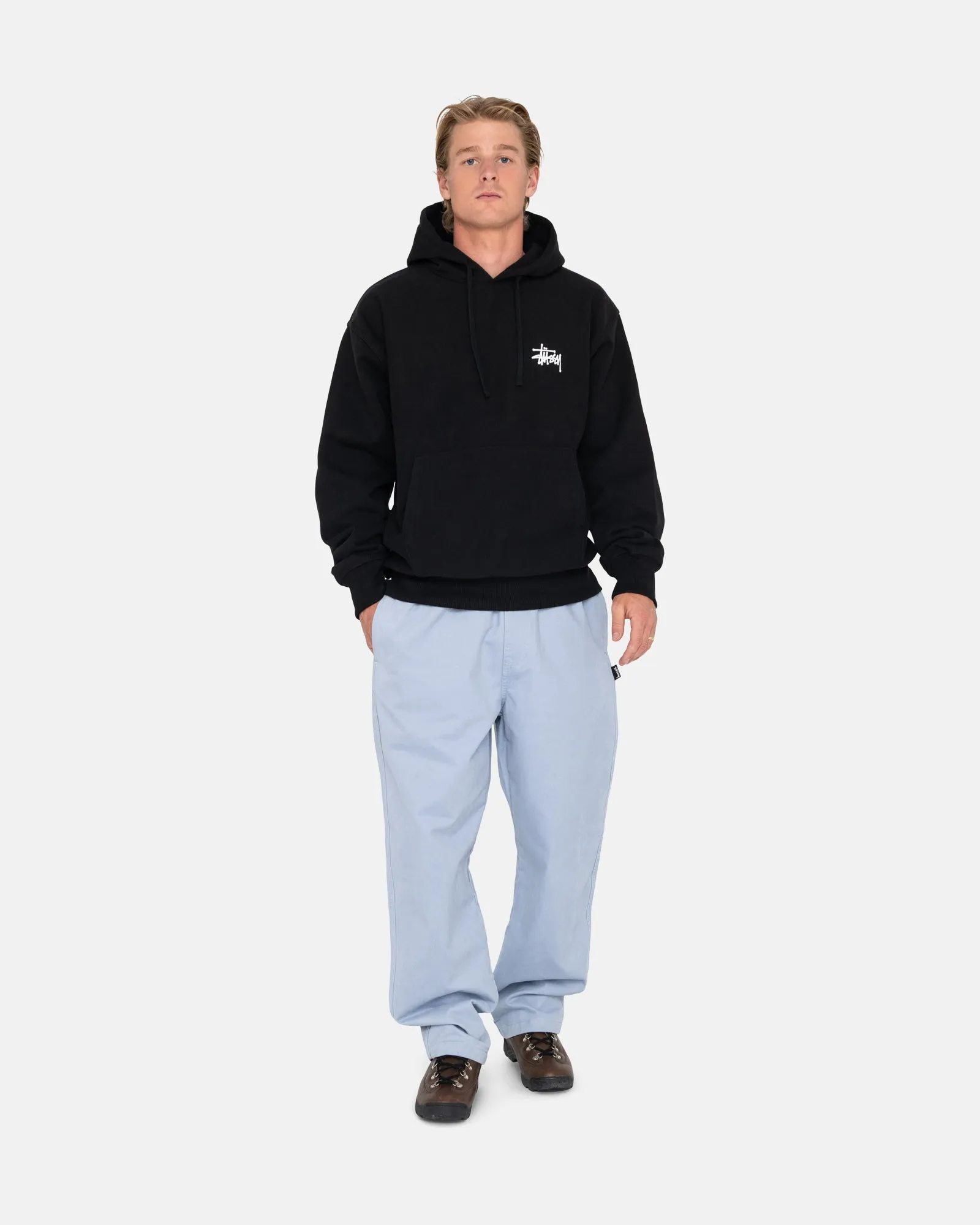 BASIC STUSSY HOODIE