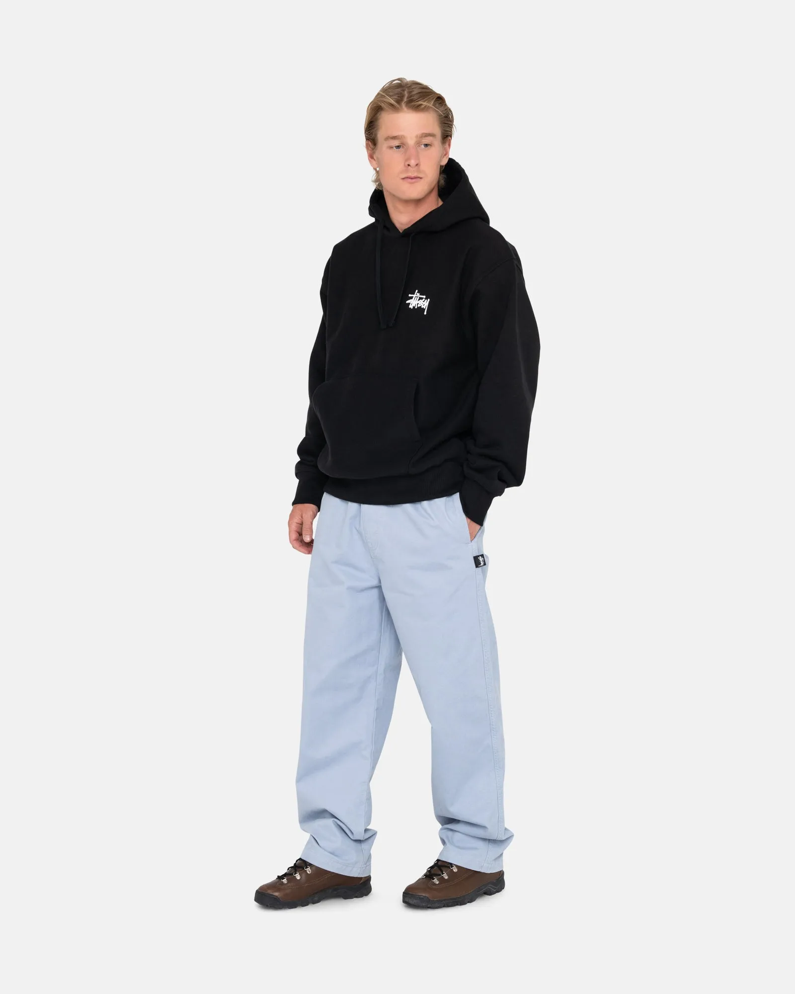 BASIC STUSSY HOODIE