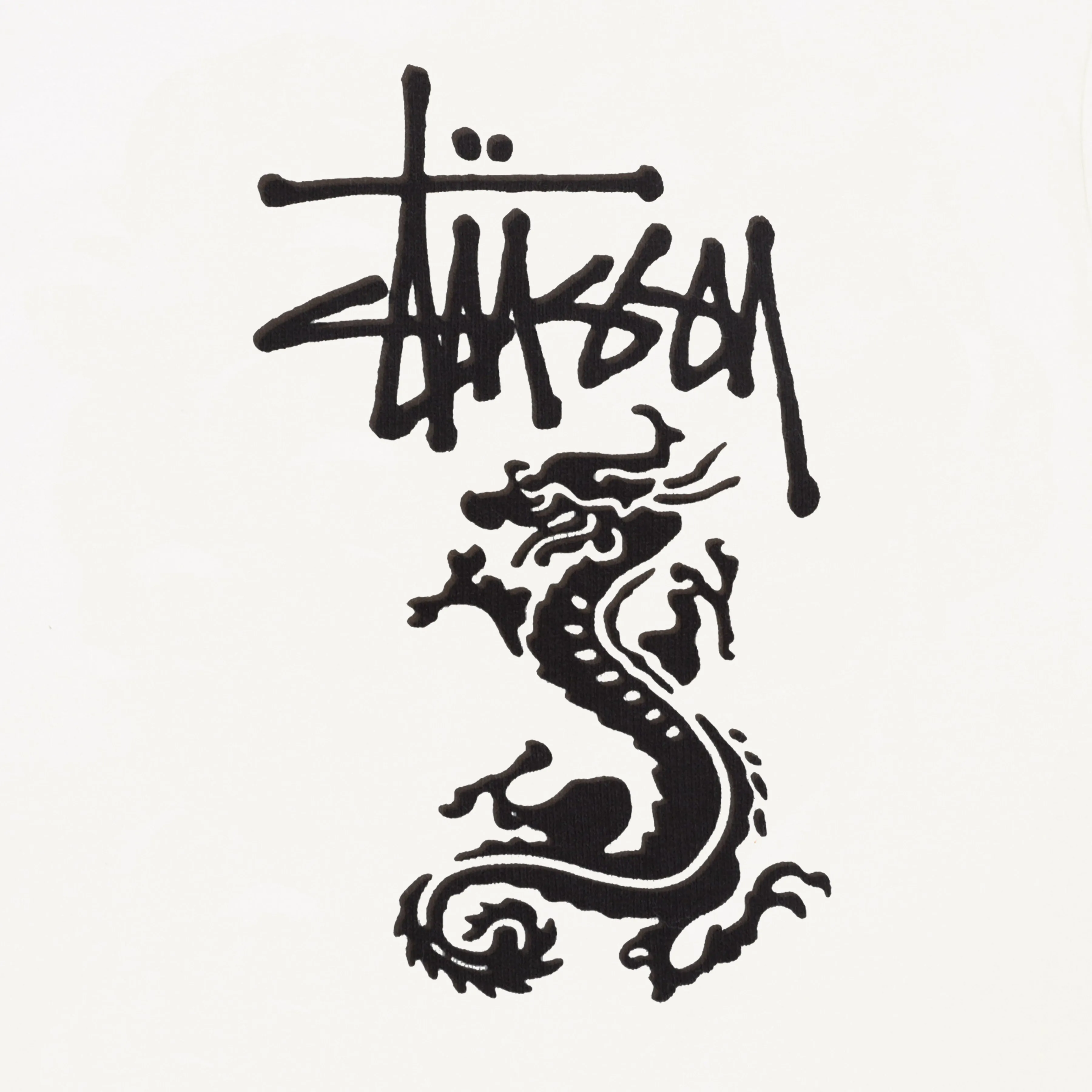DOUBLE DRAGON PIGMENT DYED TEE