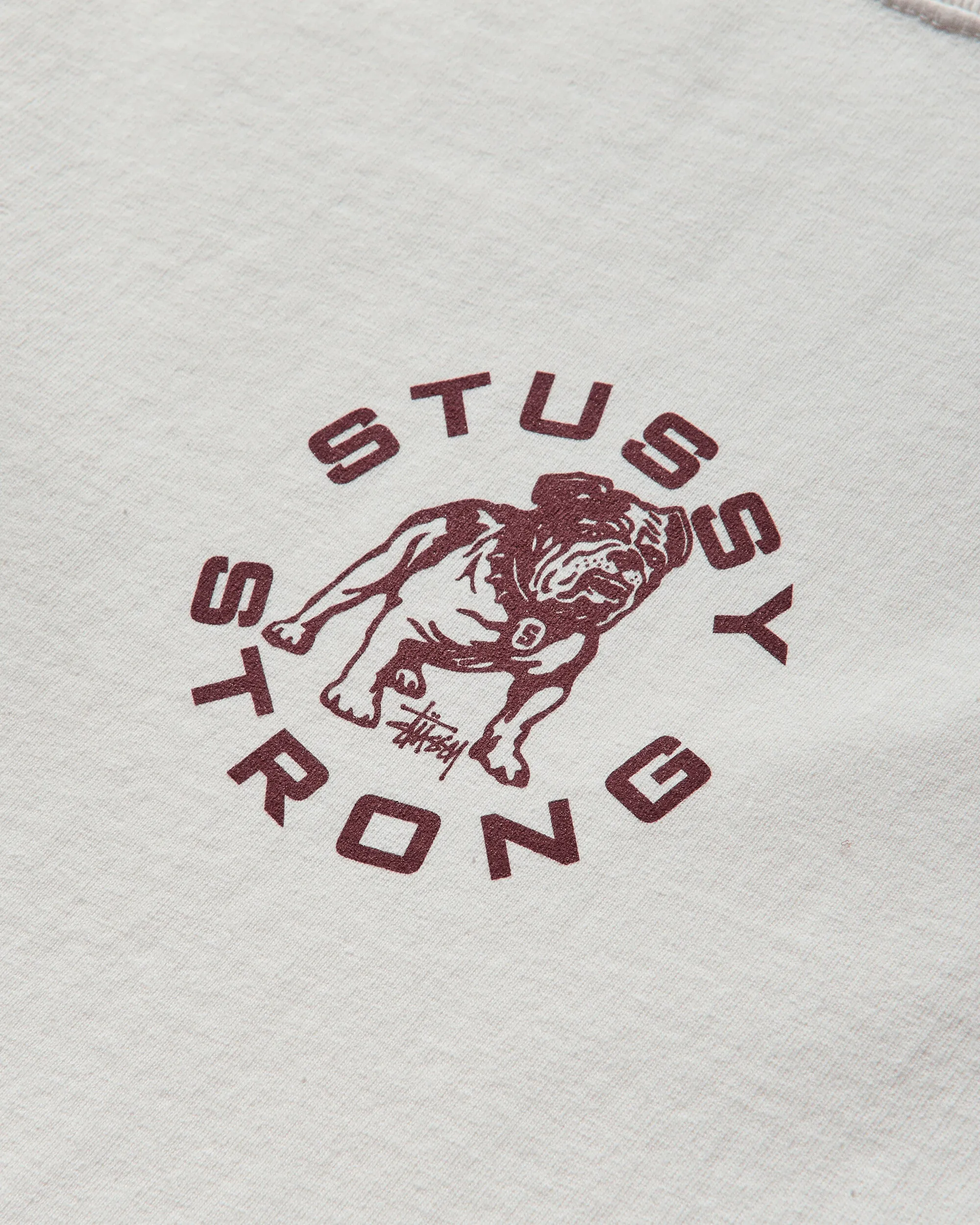 Men's Strong Mac Pigment Dyed T-Shirt Natural