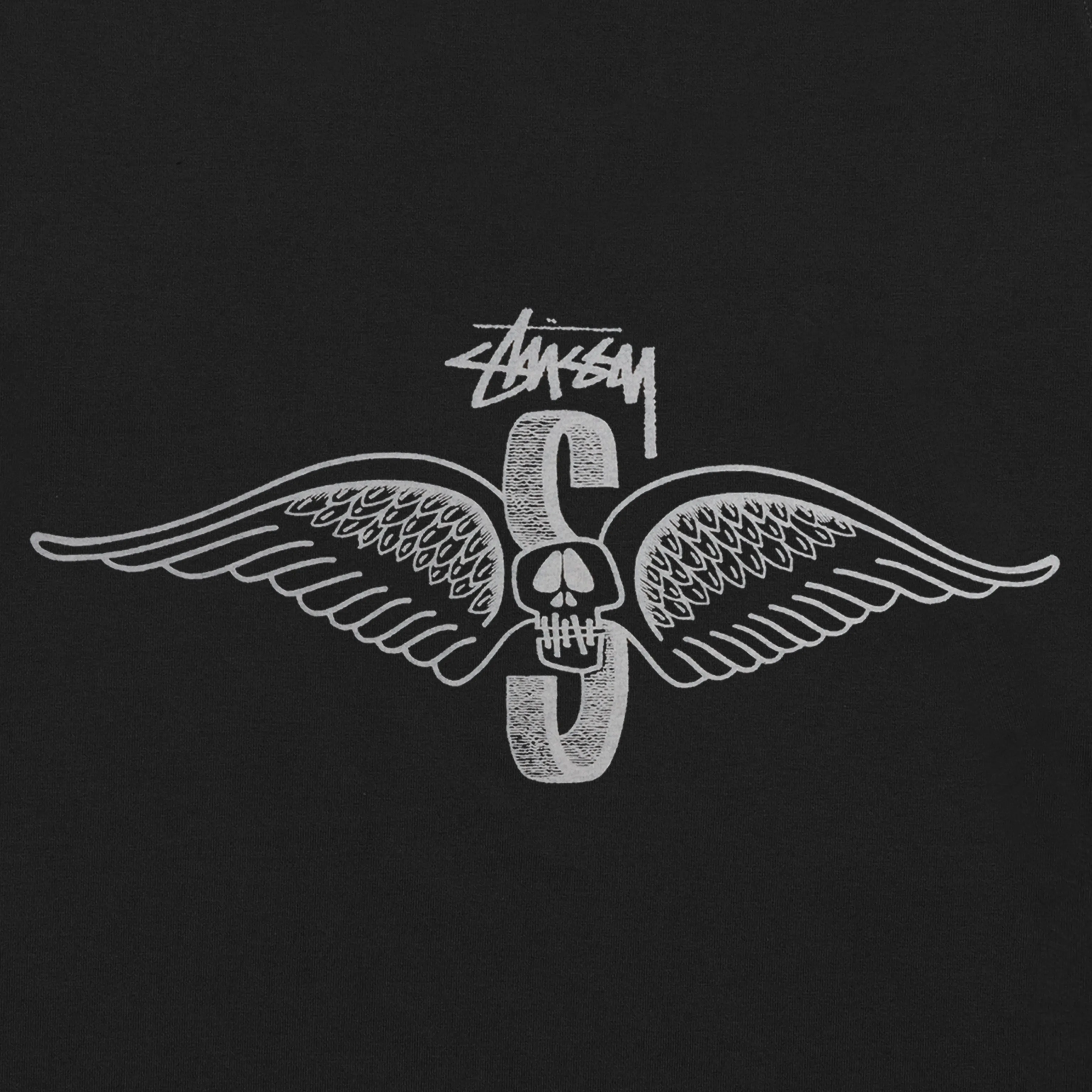 SKULL WINGS PIGMENT DYED LONG SLEEVE TEE