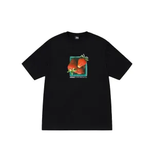 Stussy Berries Tee 'Black'
